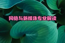 网络与新媒体专业就业方向和前景