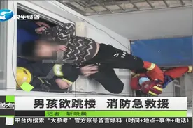 河南鲁山：男孩因厌学想要跳楼，消防人员紧急救援视频封面