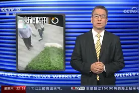 杭州 情侣吵架高空扔狗 白岩松：狗的命也是命视频封面