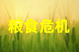 全球大饥荒即将袭来，我们准备好了吗？视频封面