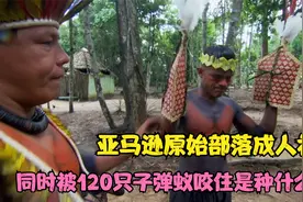 亚马逊原始部落成人礼，同时被120只子弹蚁咬住如同被机关枪扫射视频封面