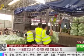 河南急需蔬菜？“中国蔬菜之乡”马上安排，40吨新鲜蔬菜紧急驰援视频封面