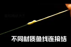 教你如何将尼龙线与大力马线连接在一起的线结
