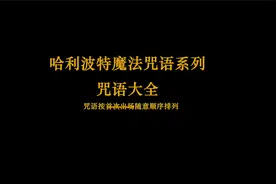 麻瓜笔记之哈利波特咒语合集，能不能学会，就看你资质好不好啦~视频封面