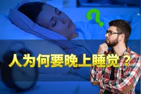 人为何要晚上睡觉呢？
