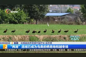 云南生物多样性保护：山水林田湖草沙一体化保护与修复视频封面