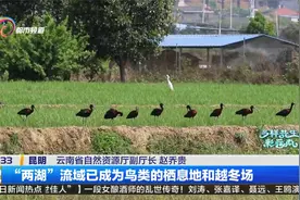 云南生物多样性保护：山水林田湖草沙一体化保护与修复视频封面