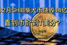 12月SHIB柴犬币烧毁44亿，接下来每月还会继续视频封面