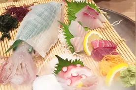 日本人疯狂迷恋“活杀”海鲜？鲜活乌贼直接开切,端上桌还在动!视频封面