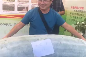 这个冬瓜有点沉!周口一218斤大冬瓜引围观,村民称选用了太空育种视频封面