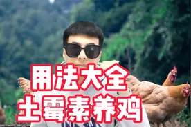养鸡土霉素这些用法用量你都知道吗视频封面