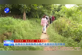 仙游县沉香微集群小微产业园项目有序推进