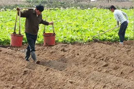 农村土地能贷款吗？赶快看看吧视频封面