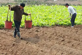 农村土地能贷款吗？赶快看看吧视频封面