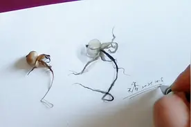 手绘枯萎的花种子，步骤非常的简单，好看又立体，快一起来跟着画视频封面