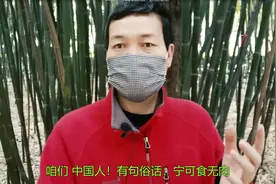 告诉亲们！竹子移植“最佳时间段”，是什么时候视频封面