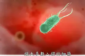 人体奧秘系列 ，食物从口腔进入胃后，经过我们身体的整个过程！视频封面