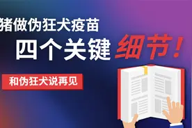 猪做伪狂犬疫苗时，有4个决定成败的小细节，掌握好，伪狂不再来视频封面
