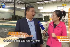 野生鲫鱼和养殖鲫鱼有什么区别？又该如何判断？口感已说明了一切