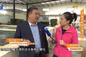 野生鲫鱼和养殖鲫鱼有什么区别？又该如何判断？口感已说明了一切视频封面