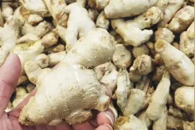 10个人9个都有胃病，“姜汁撞奶”教给你，健康养胃