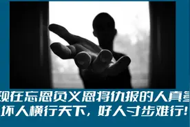 现在忘恩负义恩将仇报的人真多，坏人横行天下，好人寸步难行！视频封面