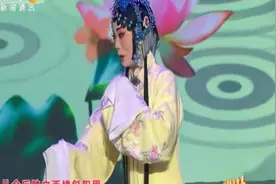 《百花争艳戏迎春》2018陕西戏曲春晚（上）视频封面