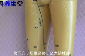 箕门穴主治：淋小便不通，遗溺，鼠鼷肿痛