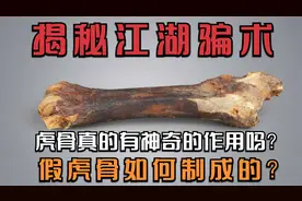 揭秘江湖骗术，虎骨真的有神奇的作用吗？假虎骨如何制成的？