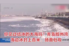 你见过结冰的大海吗？青岛胶州湾海边冰封上百米，场面壮观