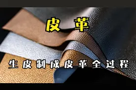 探访皮革加工厂，2分钟带你了解生皮被鞣制成皮革的制作全过程