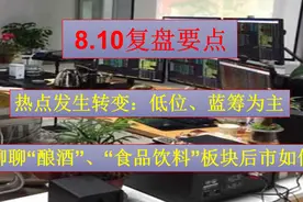 8.10复盘：主线在低位蓝筹！“酿酒”“食品饮料”板块后市如何？视频封面