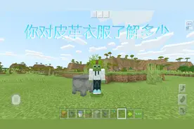 我的世界：一招教你正确使用皮革衣服，快乐就是如此简单！