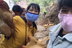 广东妹子到山上抓鸡，想徒手抓鸡，鸡吓得往山下乱窜，场面失掌控视频封面