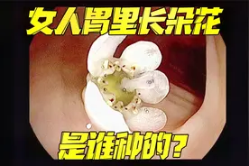 女人胃里长朵花，是谁种的？视频封面