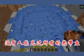 我的世界：MC中数不清的热带鱼，你都见过吗？