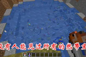 我的世界：MC中数不清的热带鱼，你都见过吗？