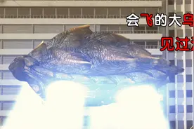 一只会飞的战斗神龟，战力堪比奥特曼，豪火球、龟派气功样样精通视频封面