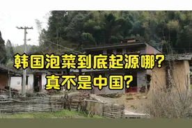 韩国泡菜到底起源哪？真不是中国？视频封面