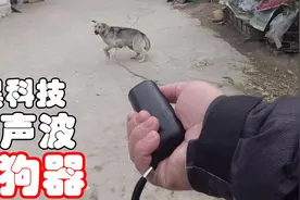 花238元网购一个超声波驱狗器，对农村大狗会有作用吗？视频封面