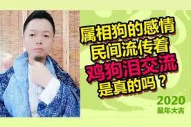 属相狗的感情，民间流传着：鸡狗泪交流，是真的吗？视频封面