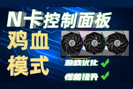 N卡控制面板的最佳设置！榨干显卡的每一滴性能「超极氪」