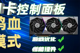 N卡控制面板的最佳设置！榨干显卡的每一滴性能「超极氪」