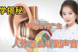 医学揭秘 人的耳朵为什么可以接受声音？声音如何产生和输送 看完视频封面