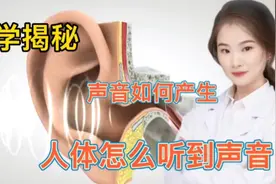 医学揭秘 人的耳朵为什么可以接受声音？声音如何产生和输送 看完视频封面