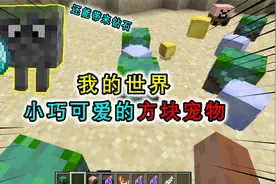 我的世界：草方块还能带来钻石？小草方块啃草皮就能带来一个物品