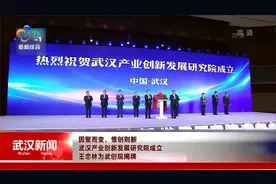 武汉产业创新发展研究院成立 王忠林为武创院揭牌视频封面
