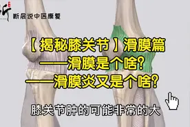 【揭秘膝关节】滑膜篇——滑膜是个啥？滑膜炎又是个啥？视频封面