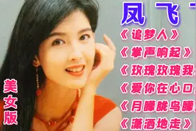 凤飞飞【美女KTV】歌曲《追梦人》《掌声响起》《潇洒地走》等视频封面
