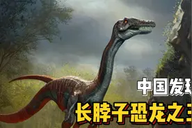 超乎想象的史前生物：科学家在中国发现脖子最长恐龙.....视频封面